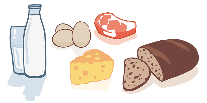 Illustration Lebensmittel Icons