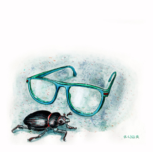 Illustration Hirschkäfer mit Lesebrille