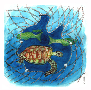 Turtle im Netz