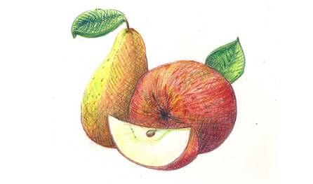 Illustration Apfel